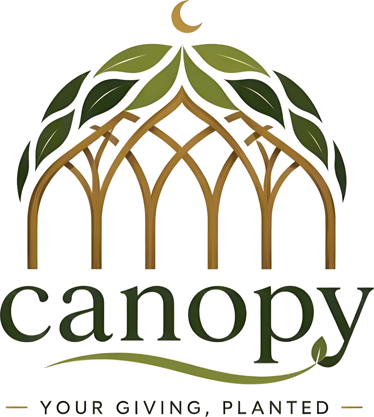 Canopy