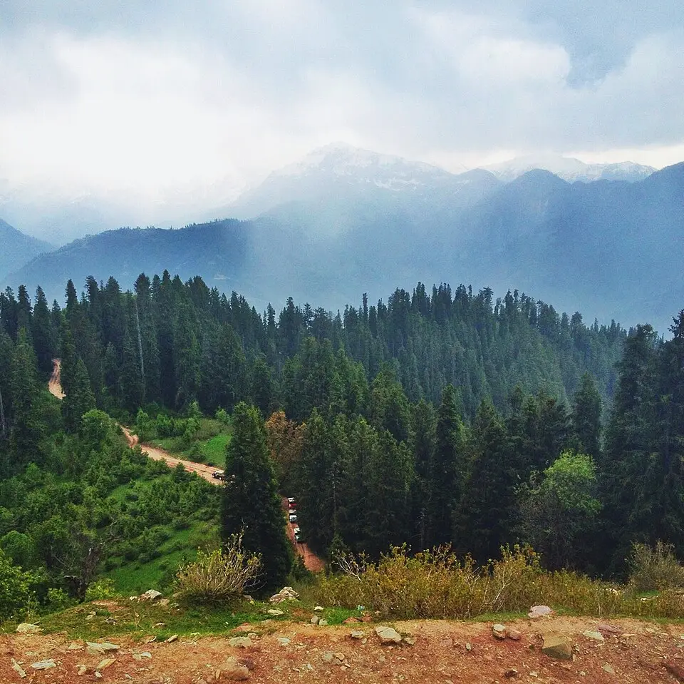Forested hills stretching into the mist in Khyber Pakhtunkhwa